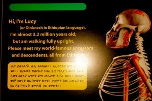 lucy2