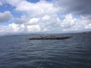 At sea off the coast of Cambados in Galicia, Spain